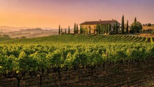 Non solo DOC, DOCG e IGP. Ecco cosa sono le De.Co, denominazioni comunali